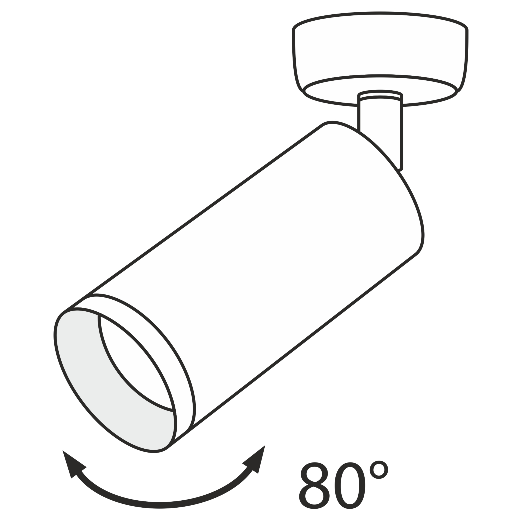 Спот Maytoni Focus C017CW-01B в Санкт-Петербурге