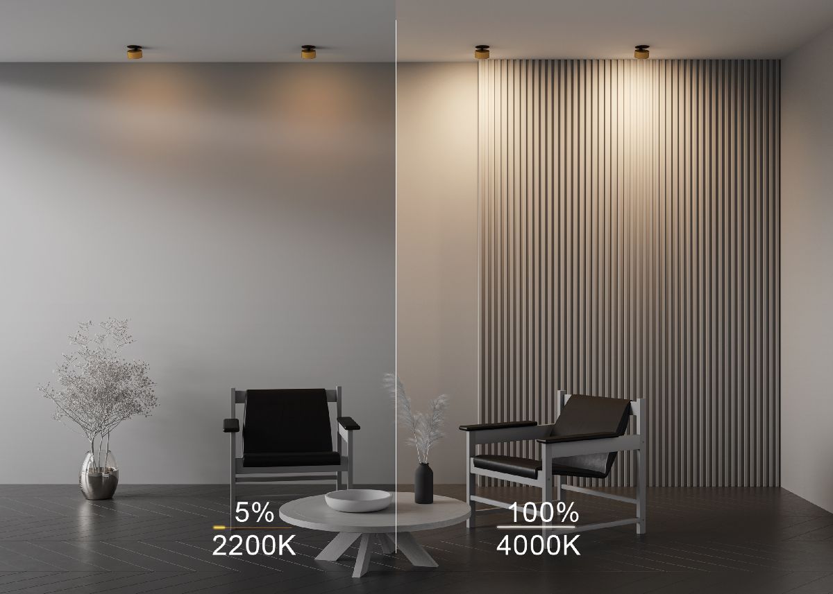 Встраиваемый светильник Maytoni Onda DL024-12W-DTW-BMG в Санкт-Петербурге