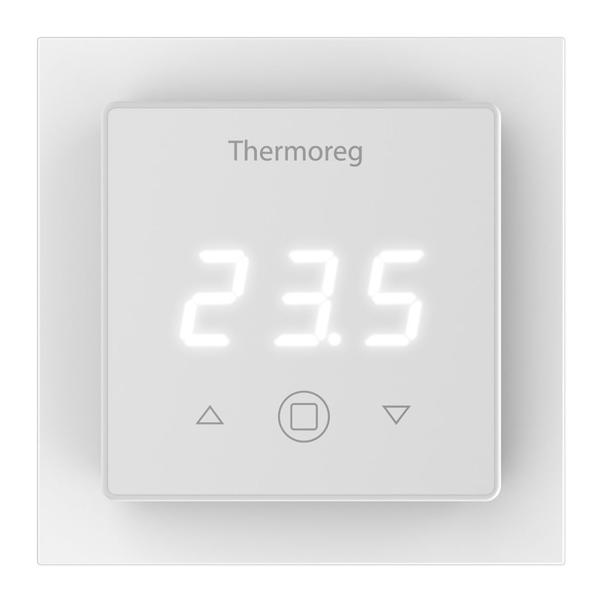 Терморегулятор Thermoreg TI-300 в Санкт-Петербурге