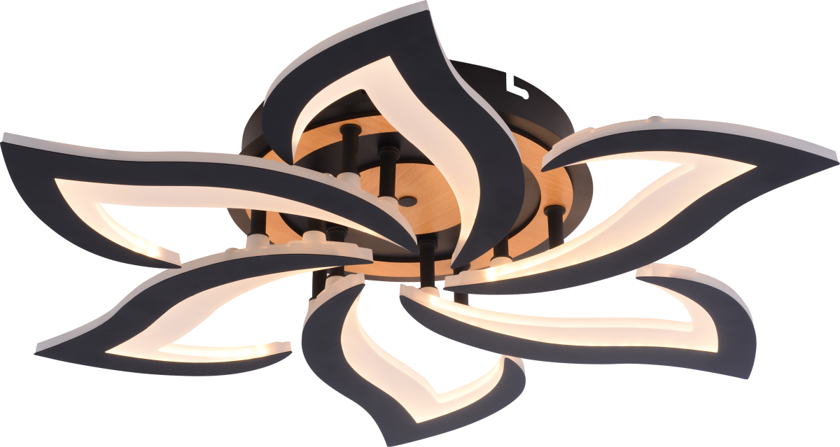 Потолочный светильник Rivoli Cassandra 6194-733 Б0070141 в #REGION_NAME_DECLINE_PP#