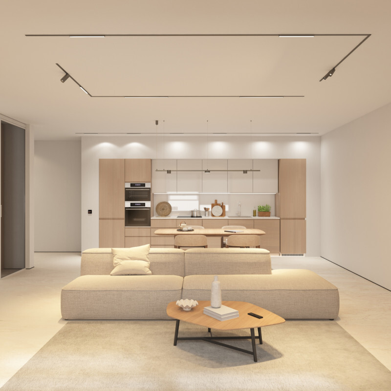 Трековый магнитный светильник Denkirs Shine Spot Zigbee DK5943-DN в Санкт-Петербурге
