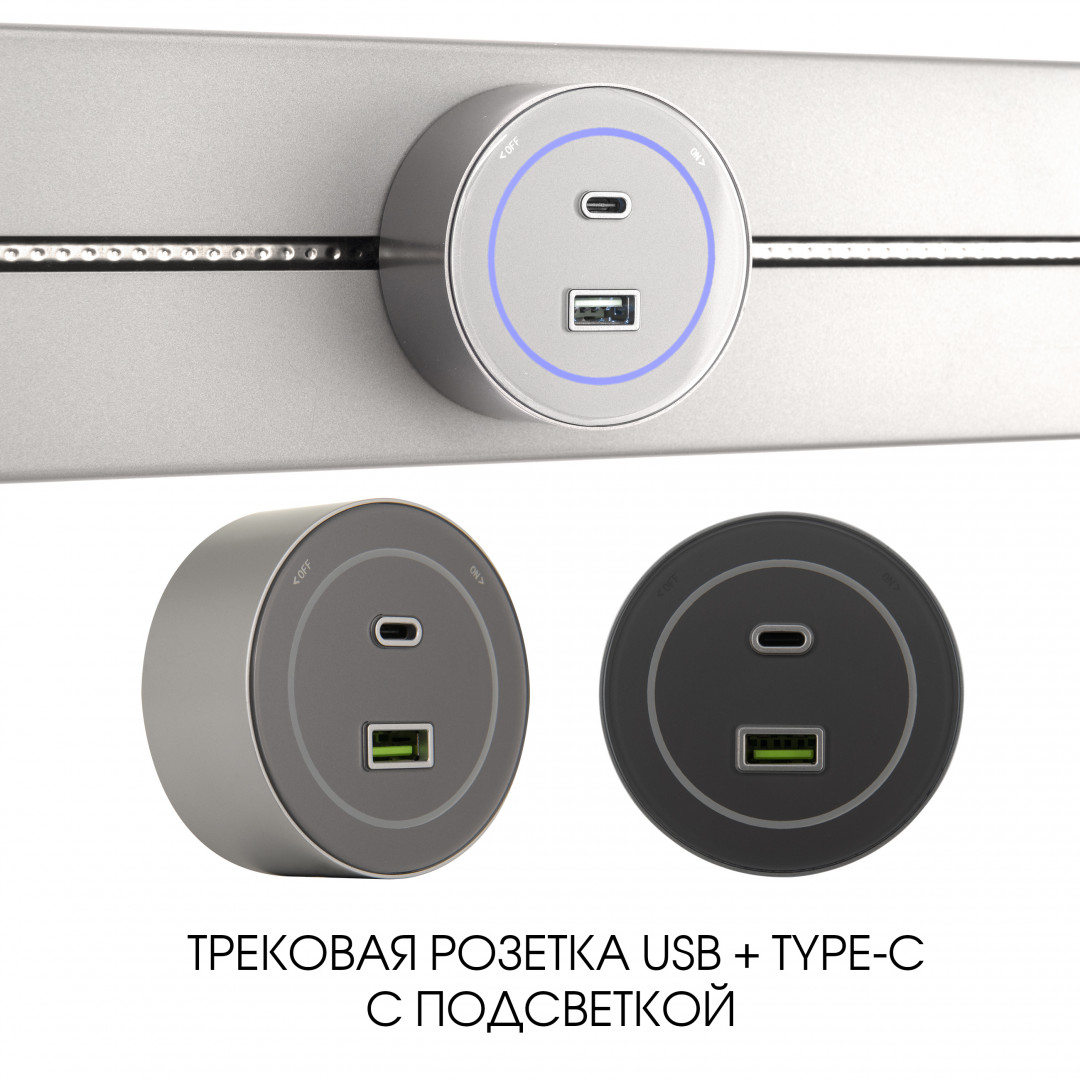 Трековая розетка Arte Milano Am-track-sockets-39 399732TS/USB-Type-C Silver в Санкт-Петербурге