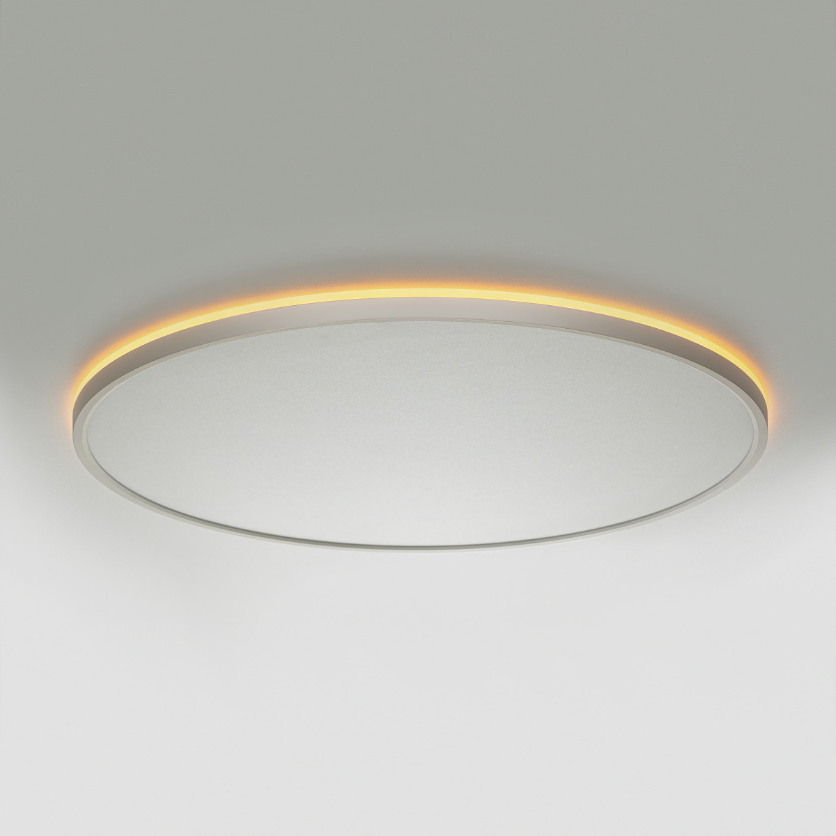 Потолочный светильник Citilux Norma LED RGB CL749600 в Санкт-Петербурге