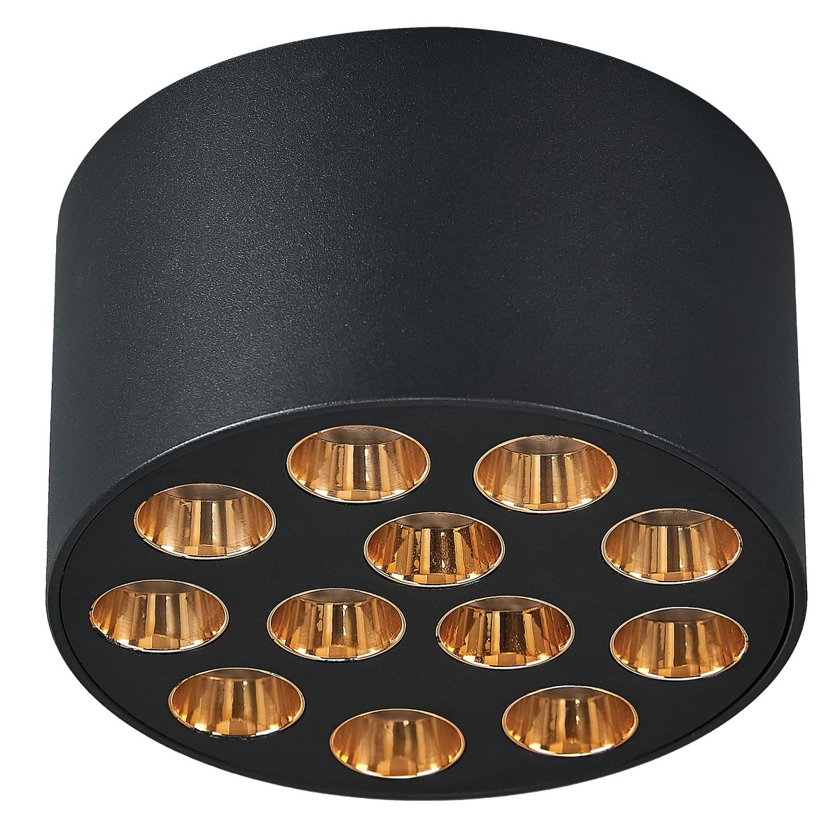 Потолочный светильник Lightstar Guarda 080942 в #REGION_NAME_DECLINE_PP#