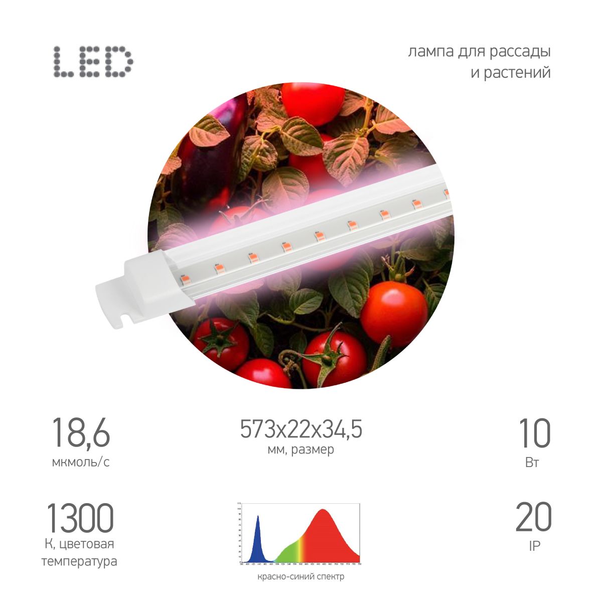 Светильник для растений Эра FITO-10W-Т5-PL-Slim-GR Б0066958 в Санкт-Петербурге