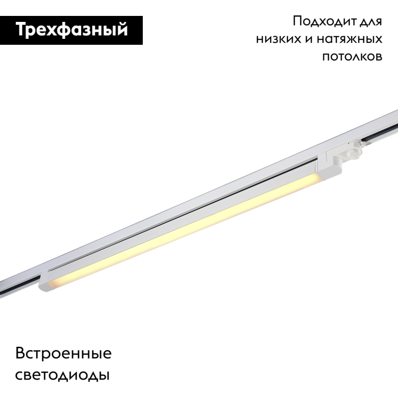 Трековый трехфазный светильник ST Luce ST663.536.40 в Санкт-Петербурге