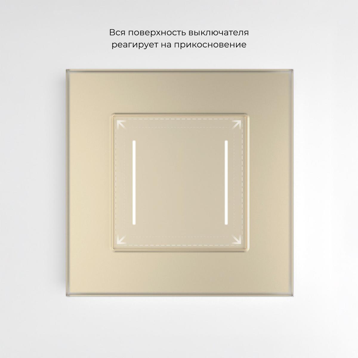 Умный сенсорный выключатель двухклавишный Werkel 4690389197970 W4523011 a064146 в Санкт-Петербурге