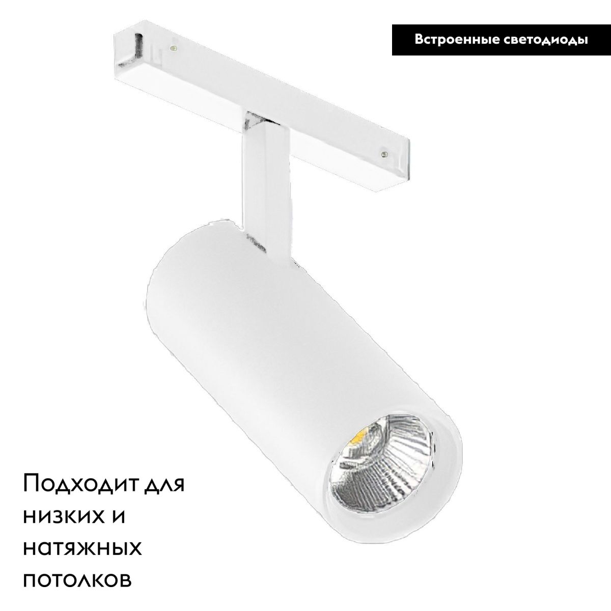 Трековый магнитный светильник Arlight MAG-VIBE-SPOT-R55-18W Day4000 (WH, 24 deg, 48V) 044480 в Санкт-Петербурге