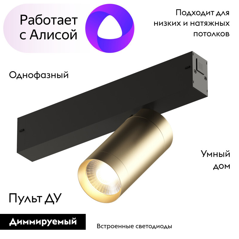 Трековый светильник на потолок Denkirs Smart DK8010-BG в Санкт-Петербурге