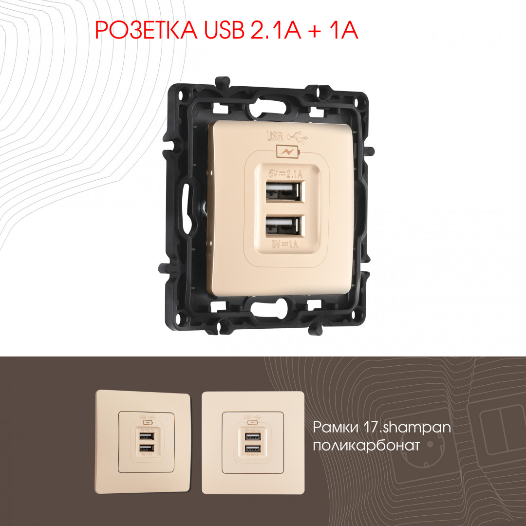 Розетка USB 2.1А+1А Arte Milano 217.46-1.shampan в Санкт-Петербурге