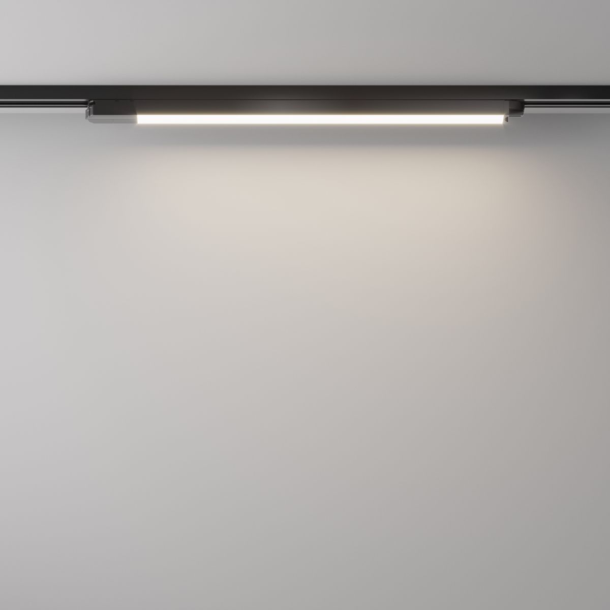 Трековый светильник Maytoni Basis TR000-1-24W4K-B в Санкт-Петербурге