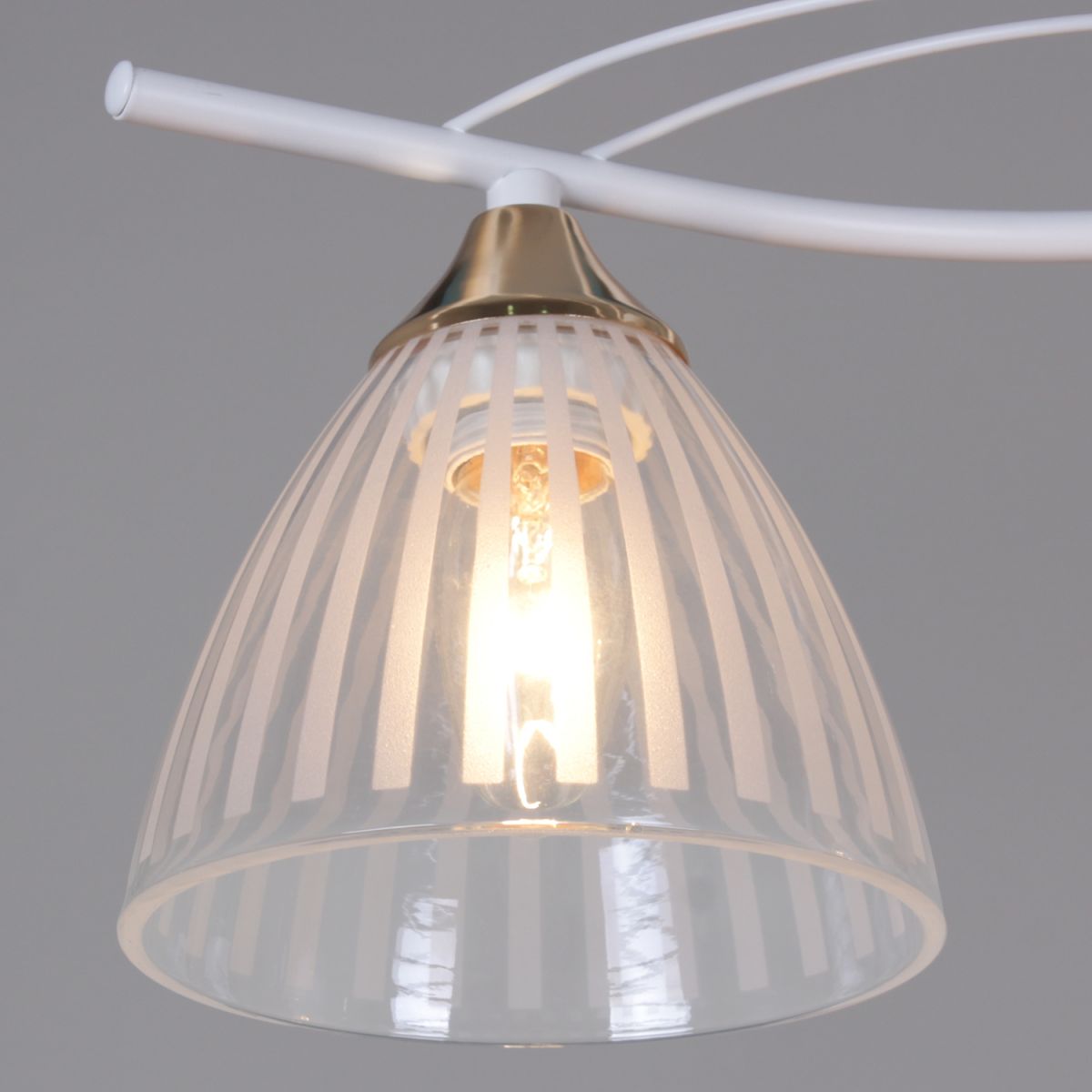 Потолочный светильник Reluce 73460-0.3-03 WH+FG в Санкт-Петербурге