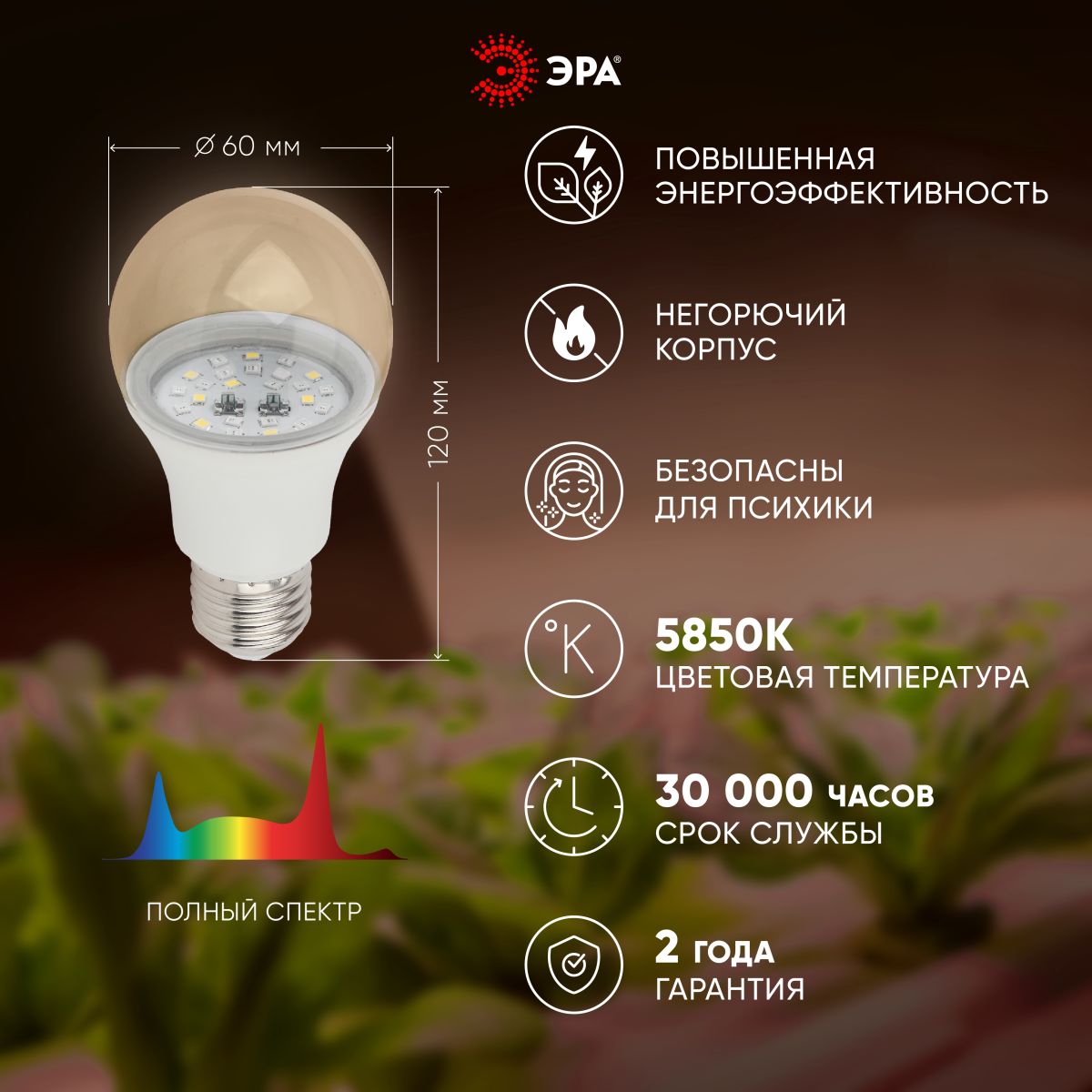 Фитолампа для растений Эра FITO-11W-Ra90-E27 Б0050603 в Санкт-Петербурге