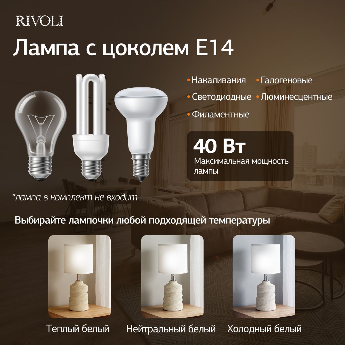 Настольная лампа Rivoli Marian 7549-502 Б0070135 в Санкт-Петербурге