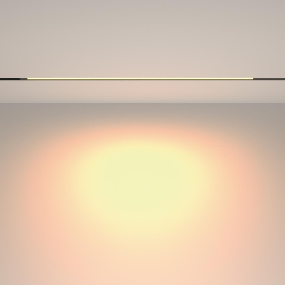 Трековый магнитный светильник Maytoni Technical Basis TR231-2-15W3K-B в Санкт-Петербурге