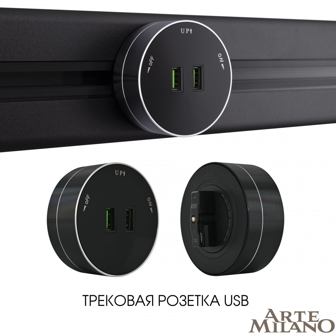 Трековая розетка Arte Milano Am-track-sockets 380011TS/USBx2 Black в Санкт-Петербурге