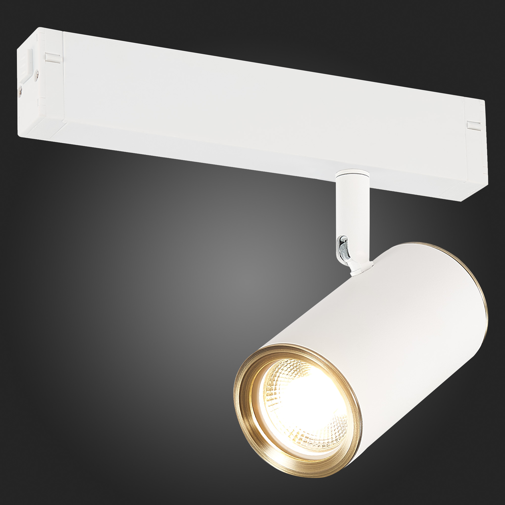 Трековый светильник ST Luce Skyline ST504.536.01 в Санкт-Петербурге