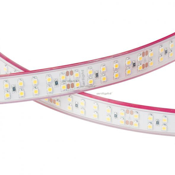 Светодиодная лента Arlight RTW 2-5000P 24V Day4000 2x2 (3528, 1200 LED, LUX) 014953 в Санкт-Петербурге