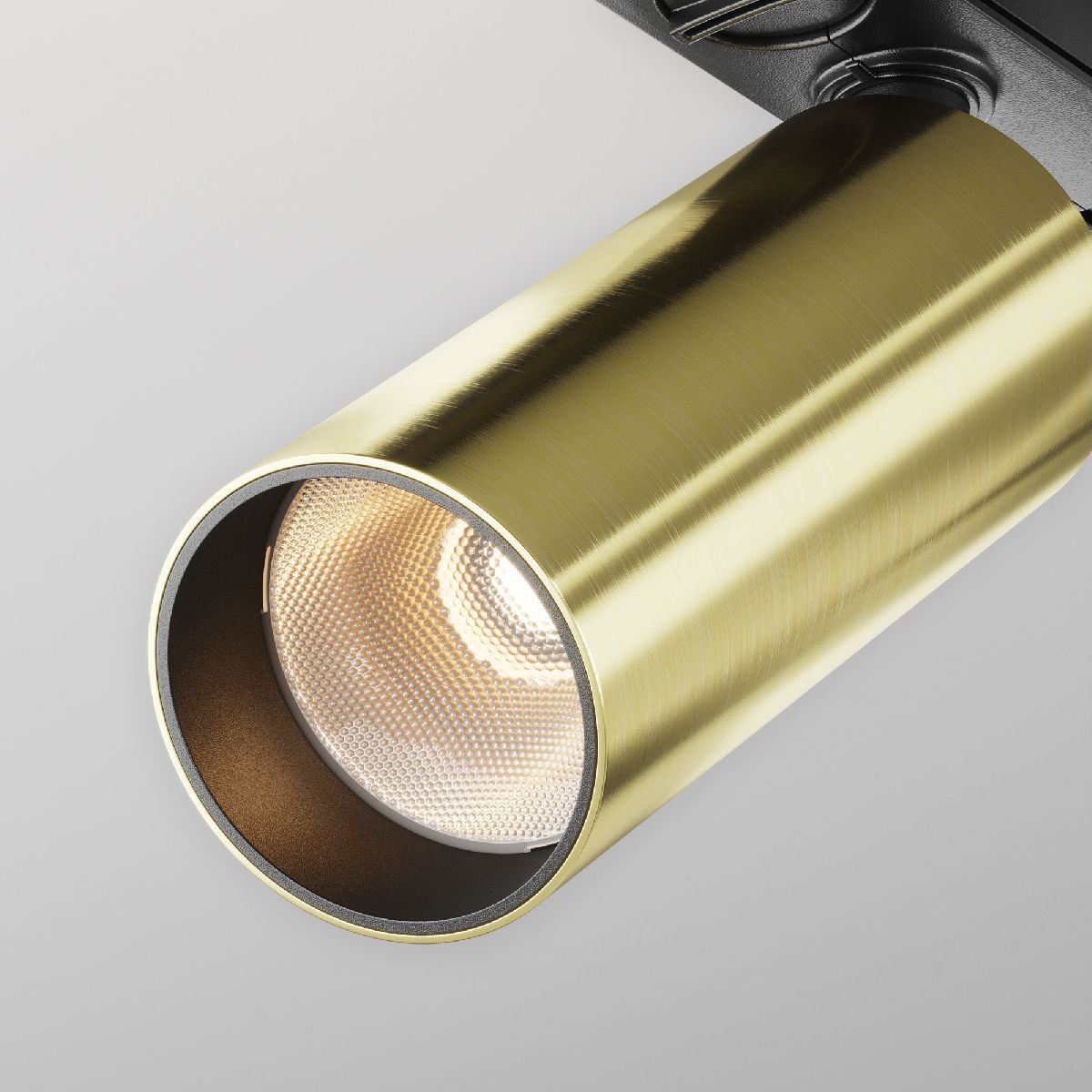 Трековый однофазный светильник Maytoni Focus Led TR021-1-12W3K-W-BBS в Санкт-Петербурге