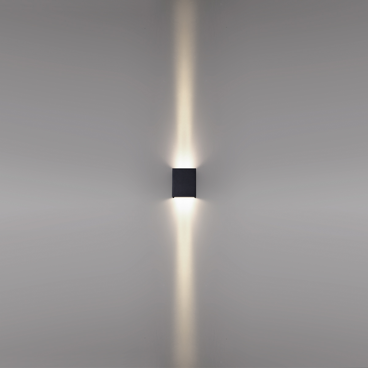 Уличный настенный светильник Odeon Light Nature Arrow 7188/10WLP в Санкт-Петербурге
