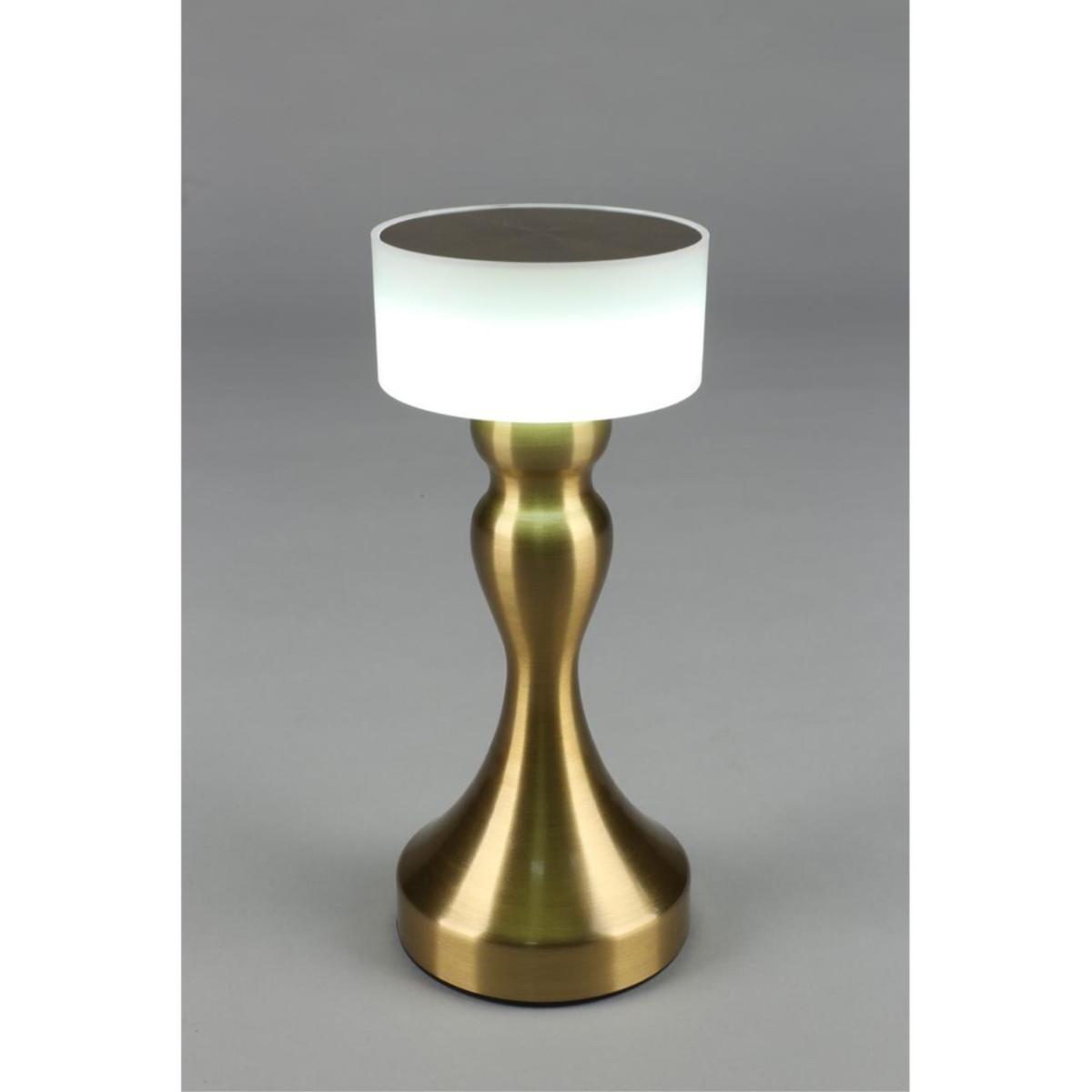 Настольная лампа Omnilux OML-40304-01 в Санкт-Петербурге