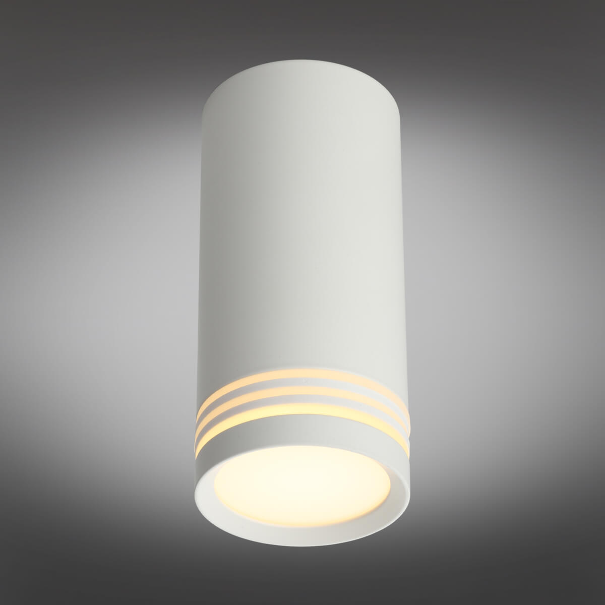 Потолочный светильник Omnilux Olona OML-100809-01 в #REGION_NAME_DECLINE_PP#