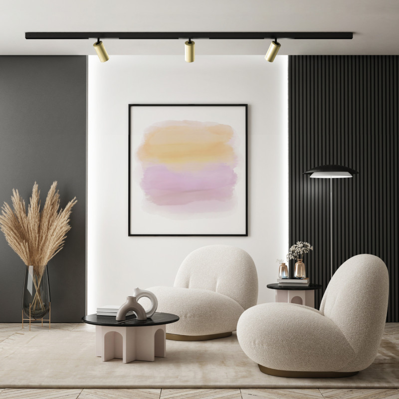 Трековый светильник Denkirs Smart Spot DK8020-BG в Санкт-Петербурге