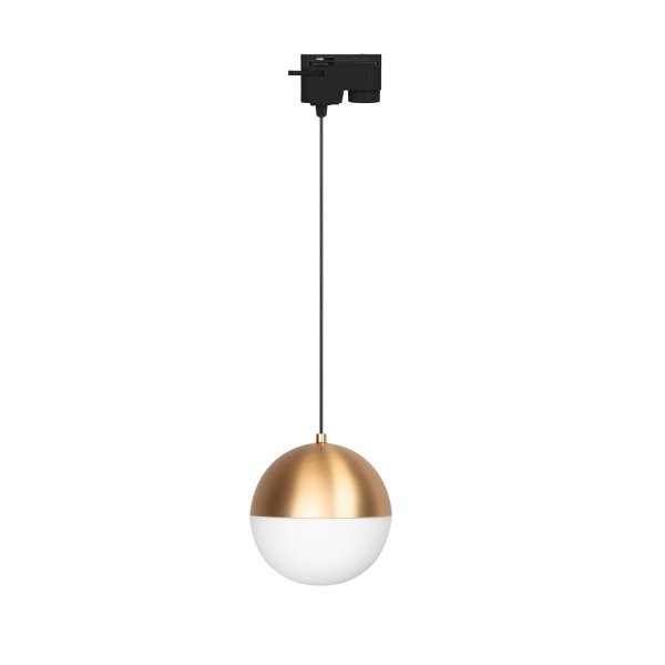 Трековый светильник Arlight LGD-Emisfero-Track-Hang-2TR-R150-11W Day4000 035941 в Санкт-Петербурге