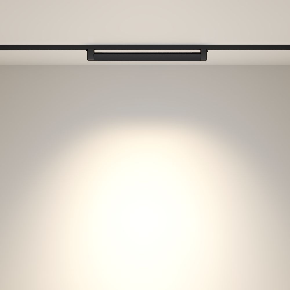 Трековый однофазный светильник Maytoni Points Rot TR010-1-20W4K-M-B в Санкт-Петербурге