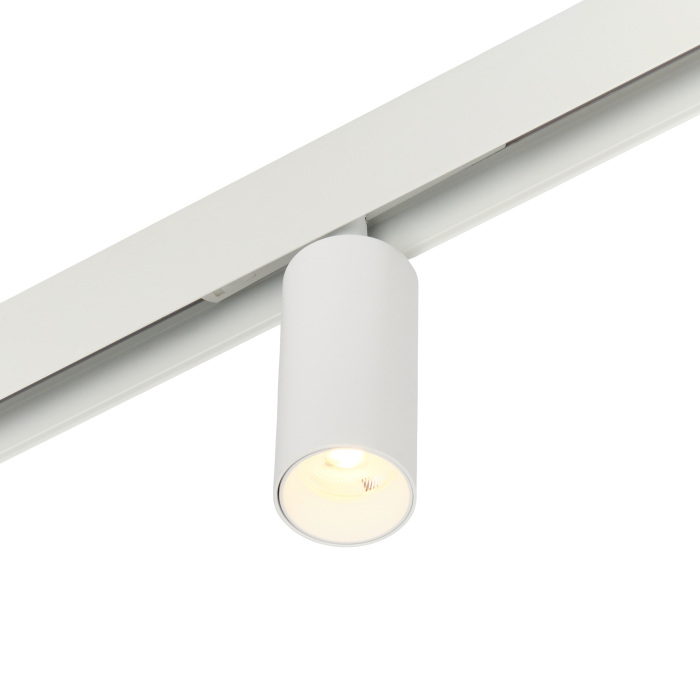 Трековый магнитный светильник Myfar Ray MT0220-12W3K-W в Санкт-Петербурге