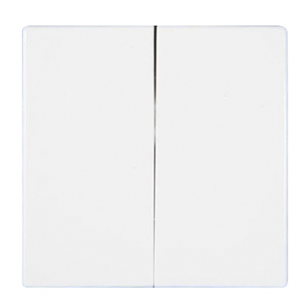 Клавиша для выключателя двухклавишного JUNG EcoProfi EP495WW в Санкт-Петербурге