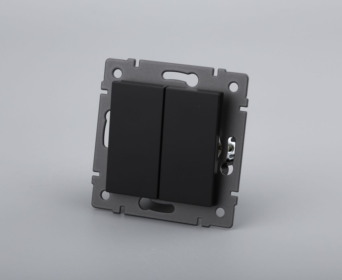 Механизм выключателя двухклавишный самовозвратный Arlight SWT-MKR2-PL-BK-V (250V, 10A) 049884 в Санкт-Петербурге