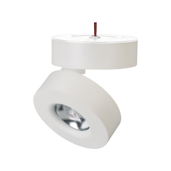 Спот Arlight SP-Mona-Surface-R100-12W Day4000 025439(1) в Санкт-Петербурге