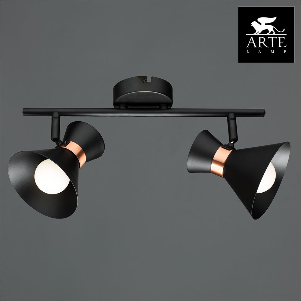 Спот Arte Lamp Baltimore A1406AP-2BK в Санкт-Петербурге