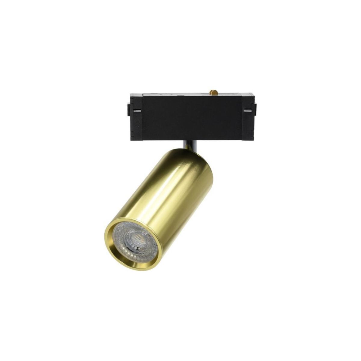 Трековый магнитный светильник Aployt Magnetic track 220 APL.0209.10.01 в Санкт-Петербурге