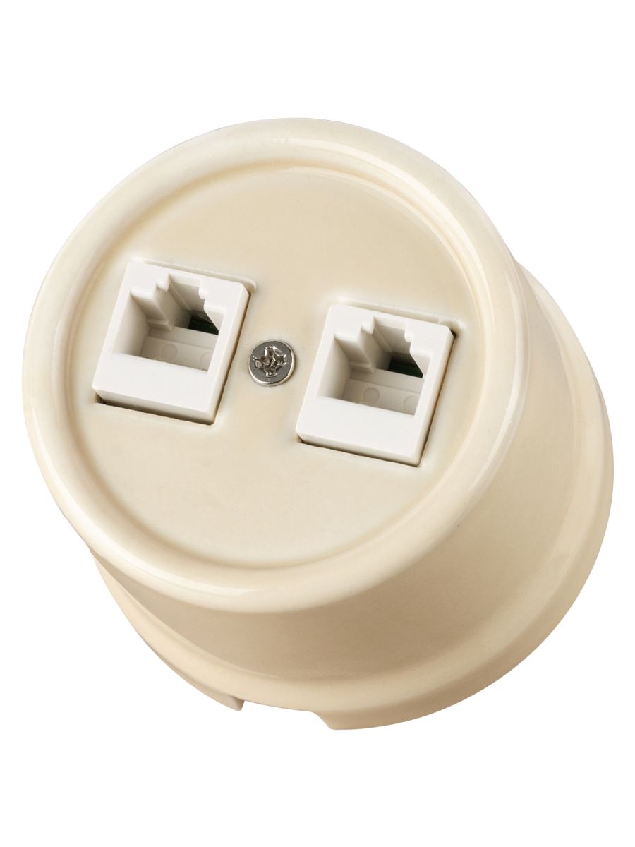 Розетка двойная компьютерная RJ45 сл. кость Болонь TDM Electric SQ1820-0351 в #REGION_NAME_DECLINE_PP#