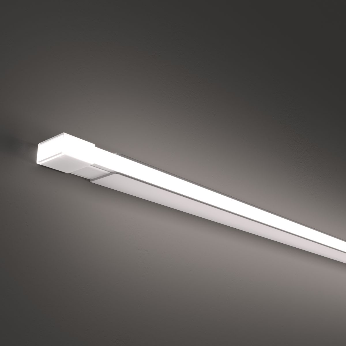 Гибкий неон Maytoni Led strip 24В 10Вт/м 6000K 5м IP67 432031 в Санкт-Петербурге
