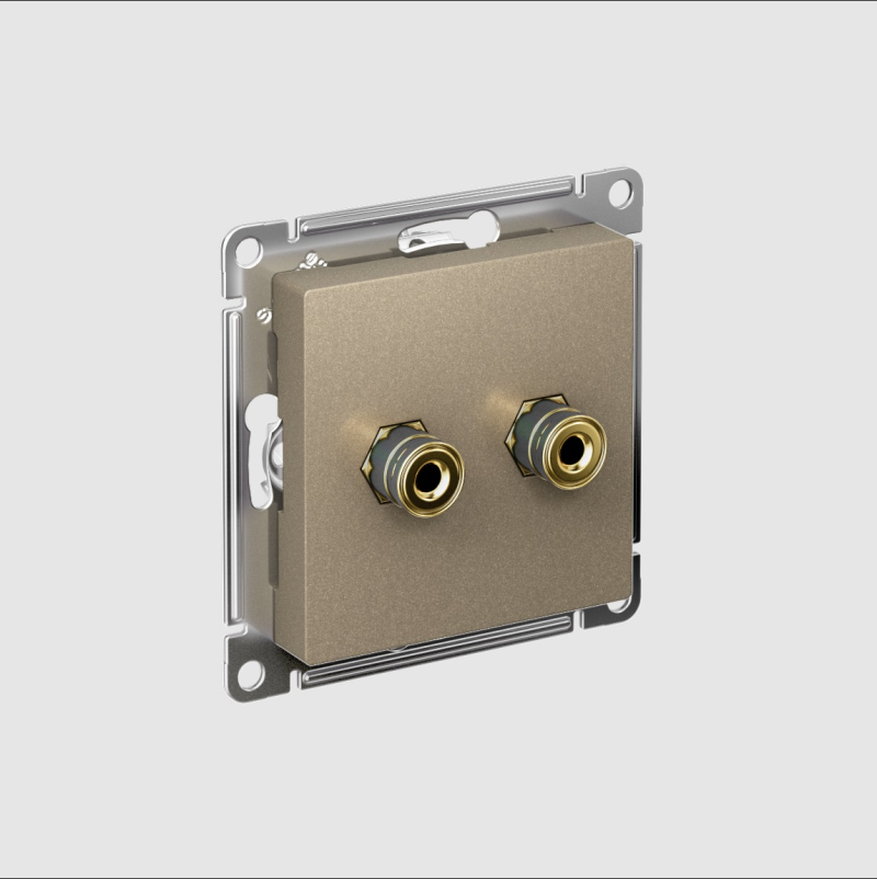Аудиорозетка двухместная Systeme Electric AtlasDesign Шампань ATN000587 в #REGION_NAME_DECLINE_PP#