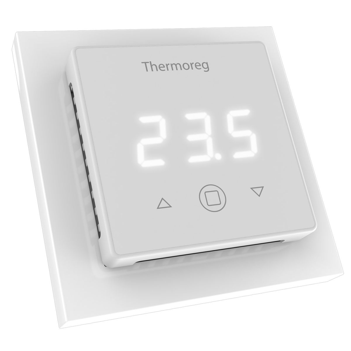Терморегулятор Thermoreg TI-300 в Санкт-Петербурге