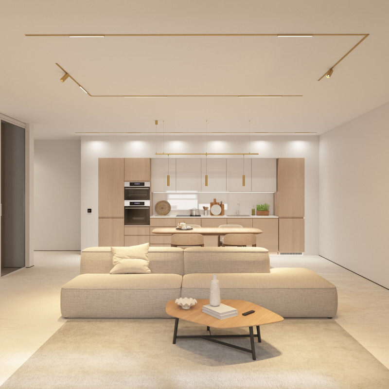 Трековый магнитный светильник Denkirs Shine Spot Zigbee DK5944-SB в Санкт-Петербурге