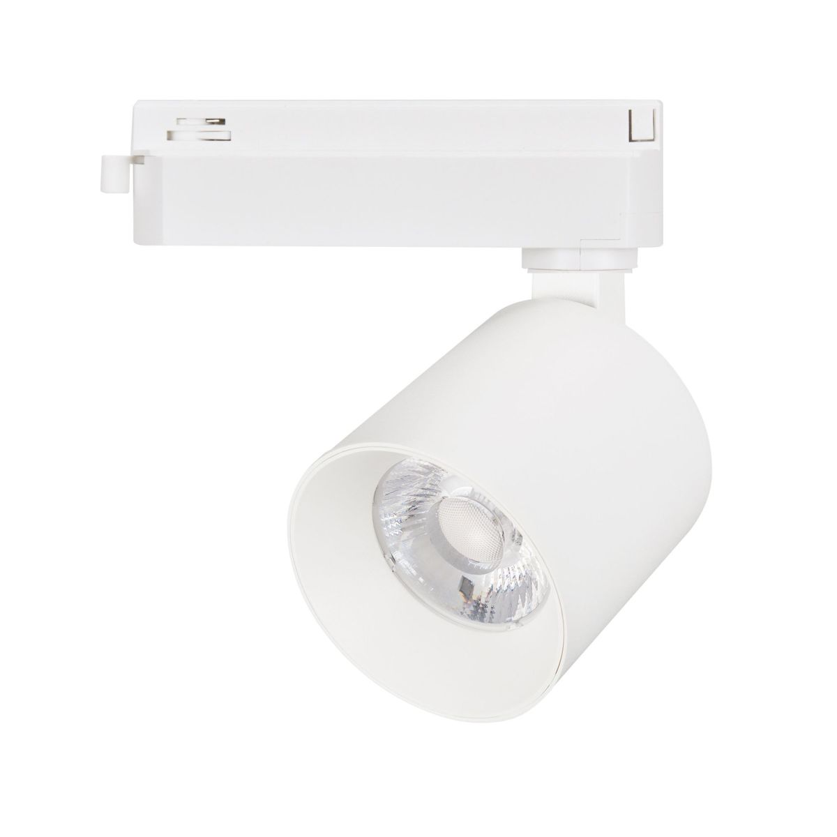 Трековый однофазный светильник Arlight LGD-DYKE-2TR-R60-8W Day4000 (WH, 50 deg, 230V) 052255 в Санкт-Петербурге
