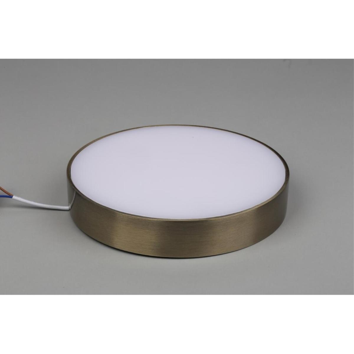 Потолочный светильник Aployt Evon APL.0114.29.24 в Санкт-Петербурге