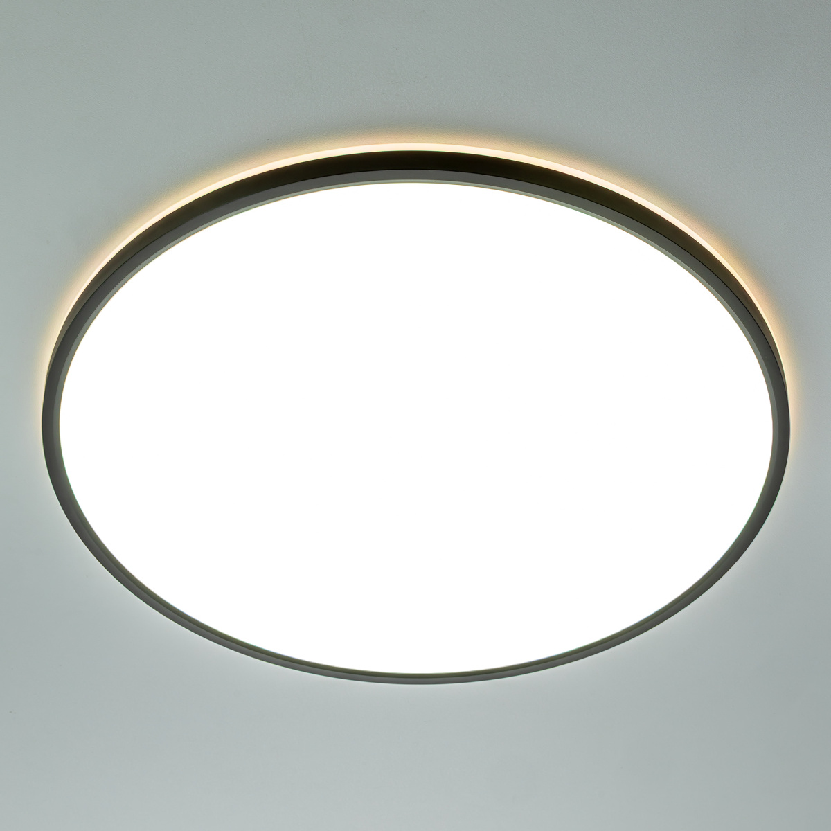 Потолочный светильник Citilux Norma LED RGB CL749501 в Санкт-Петербурге