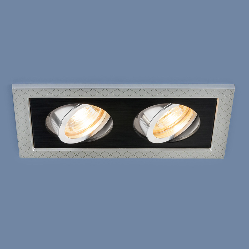 Встраиваемый светильник Elektrostandard 1041/2 MR16 SL/BK серебро/черный 4690389095443 в Санкт-Петербурге