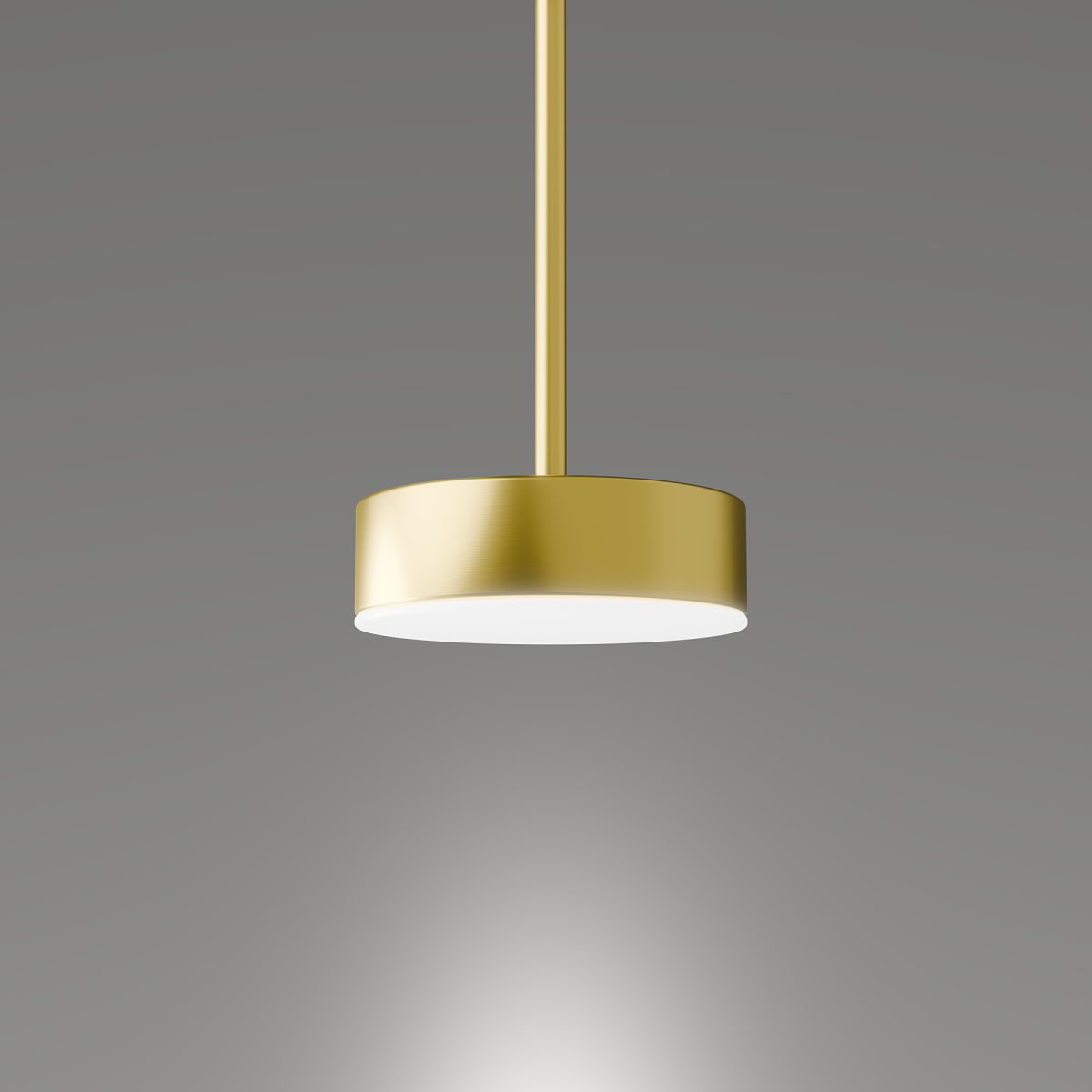 Подвесной светильник Lightera Taylor LE242L-1G в #REGION_NAME_DECLINE_PP#