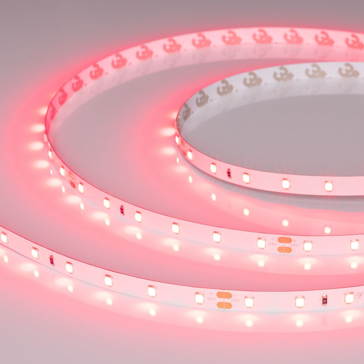 Светодиодная лента Arlight RT-A60-8mm 24V Ruby (4.8 W/m, IP20, 5m) 055374 в Санкт-Петербурге