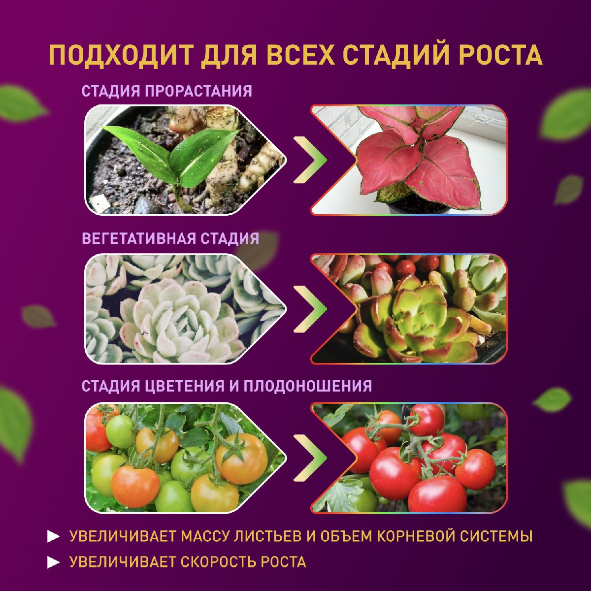 Светодиодная лента для растений Эра 18Вт 1400K 2м IP65 FITO-Strip Light-RB-2m красно-синего спектра Б0057282 в Санкт-Петербурге