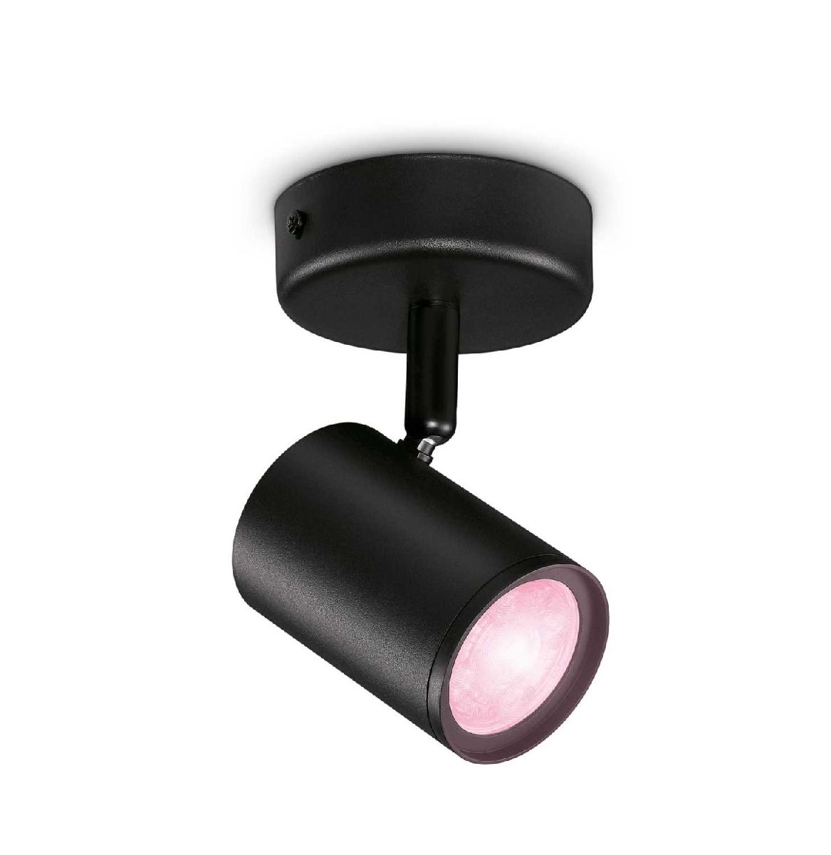 Умный спот Wiz Imageo Spots 1x5W B 22-65K RGB 929002659001 в Санкт-Петербурге
