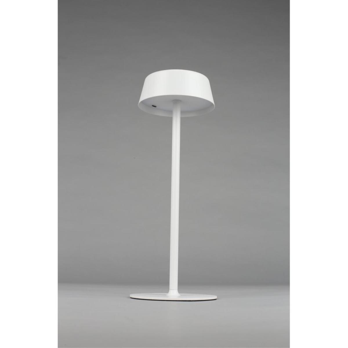 Настольная лампа Omnilux OML-40514-01 в Санкт-Петербурге