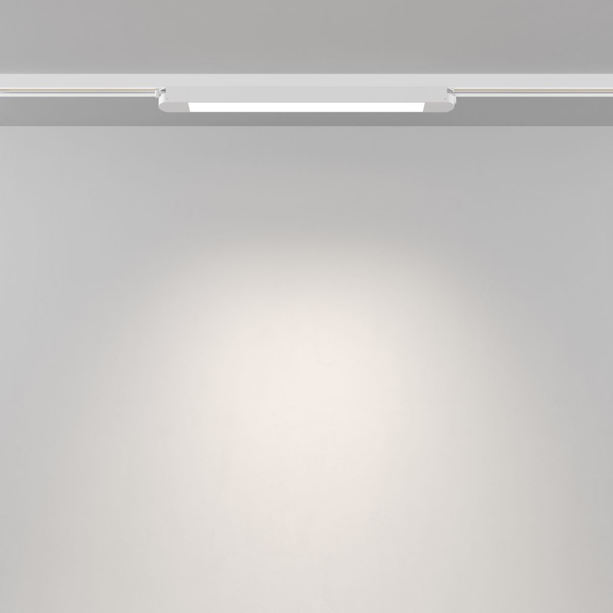 Трековый однофазный светильник Maytoni Technical Basis TR000-1-12W4K-W_1 в Санкт-Петербурге